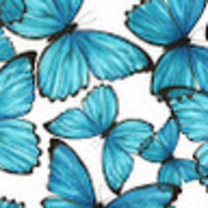 Meet your Posher, Karina